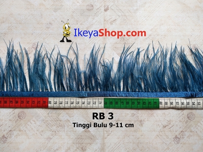 RB 3  large2